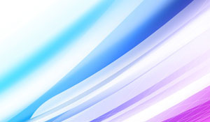 攻击网站的方法